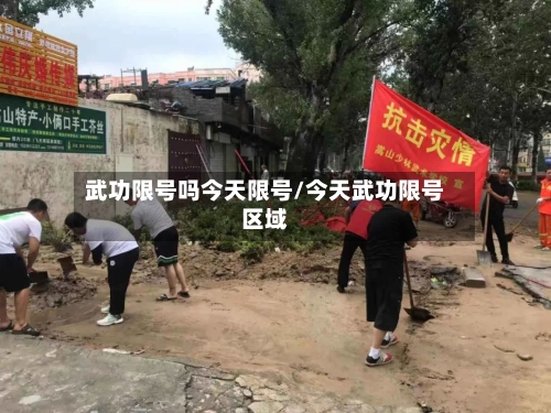 武功限号吗今天限号/今天武功限号区域