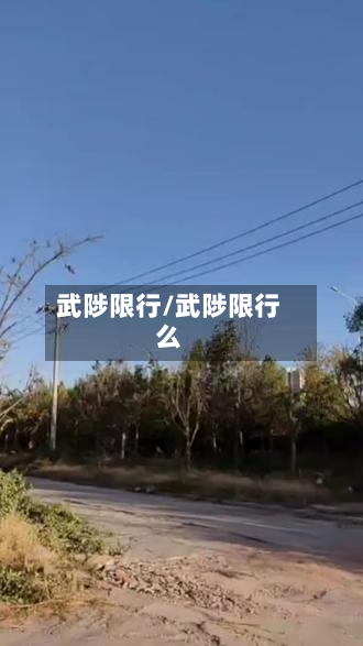 武陟限行/武陟限行么-第2张图片