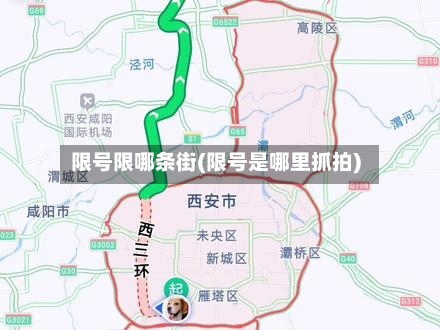 限号限哪条街(限号是哪里抓拍)-第2张图片
