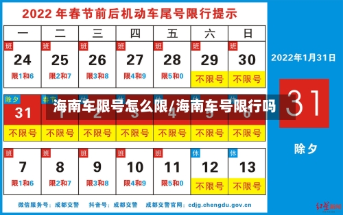 海南车限号怎么限/海南车号限行吗-第3张图片
