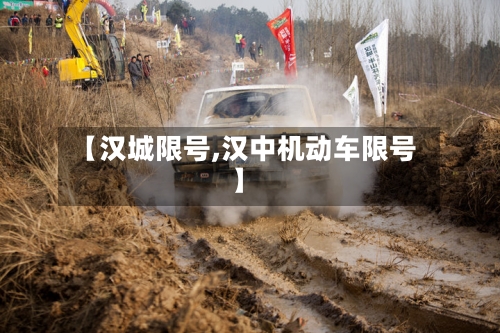 【汉城限号,汉中机动车限号】-第2张图片
