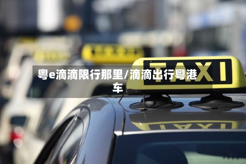 粤e滴滴限行那里/滴滴出行粤港车