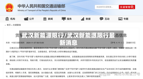 武汉新能源限行/武汉新能源限行最新消息-第3张图片