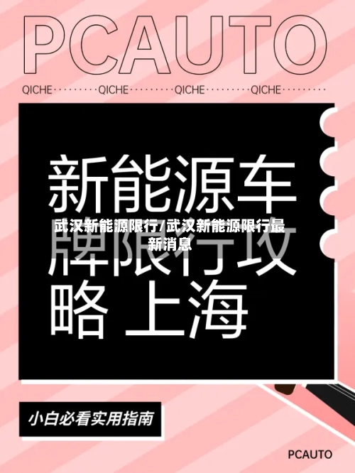 武汉新能源限行/武汉新能源限行最新消息-第2张图片