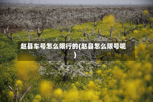 赵县车号怎么限行的(赵县怎么限号呢)