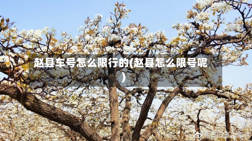 赵县车号怎么限行的(赵县怎么限号呢)-第3张图片