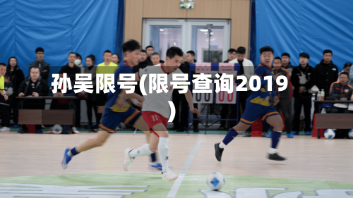孙吴限号(限号查询2019)