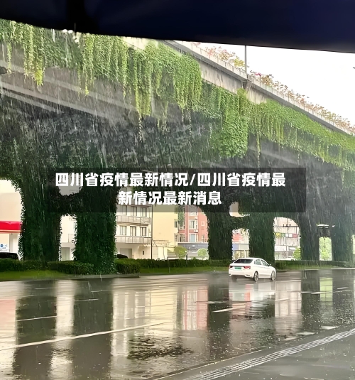 四川省疫情最新情况/四川省疫情最新情况最新消息-第2张图片