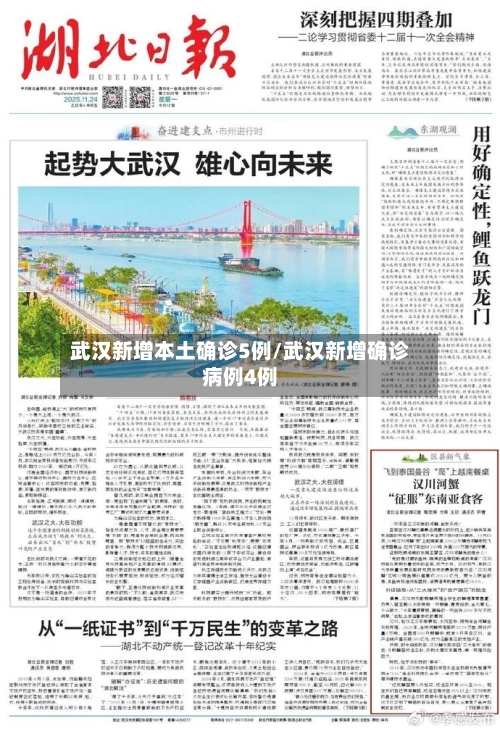武汉新增本土确诊5例/武汉新增确诊病例4例-第3张图片