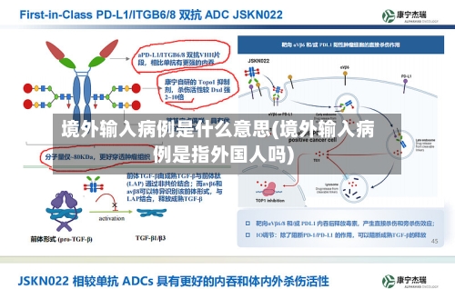 境外输入病例是什么意思(境外输入病例是指外国人吗)