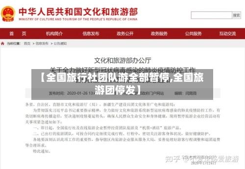 【全国旅行社团队游全部暂停,全国旅游团停发】-第3张图片