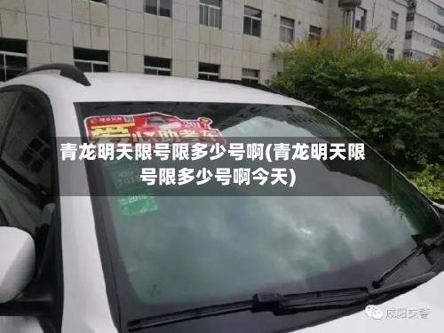 青龙明天限号限多少号啊(青龙明天限号限多少号啊今天)