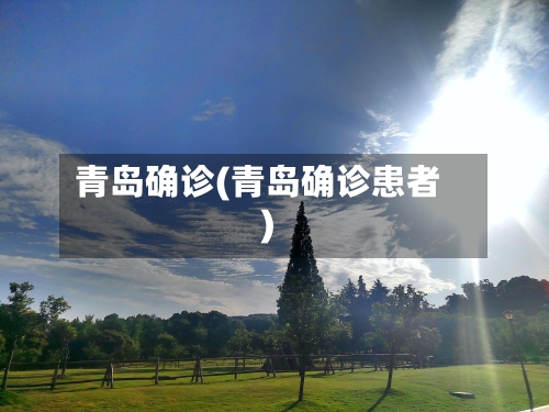 青岛确诊(青岛确诊患者)