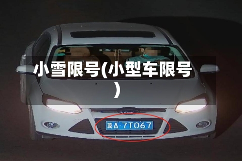 小雪限号(小型车限号)
