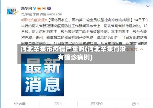 河北辛集市疫情严重吗(河北辛集有没有确诊病例)-第3张图片