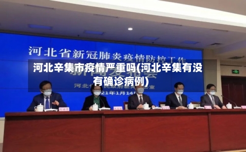 河北辛集市疫情严重吗(河北辛集有没有确诊病例)