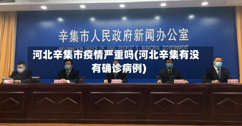 河北辛集市疫情严重吗(河北辛集有没有确诊病例)-第2张图片