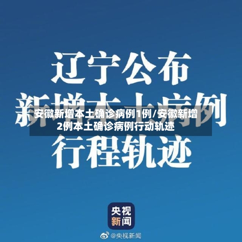 安徽新增本土确诊病例1例/安徽新增2例本土确诊病例行动轨迹
