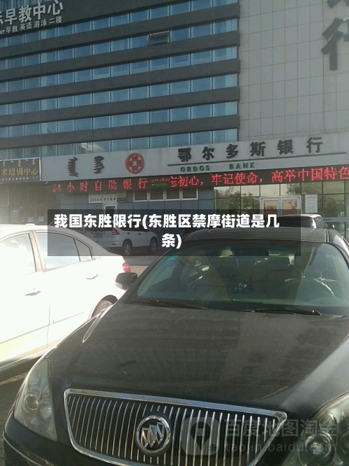 我国东胜限行(东胜区禁摩街道是几条)