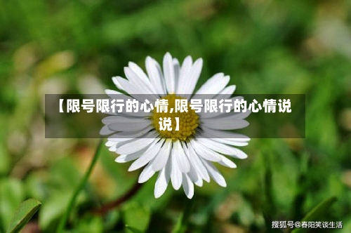 【限号限行的心情,限号限行的心情说说】