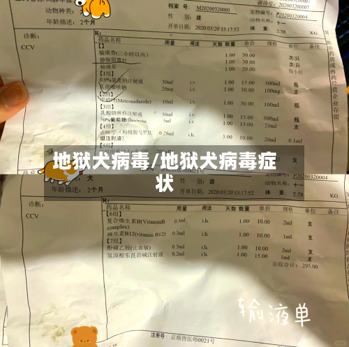 地狱犬病毒/地狱犬病毒症状-第2张图片