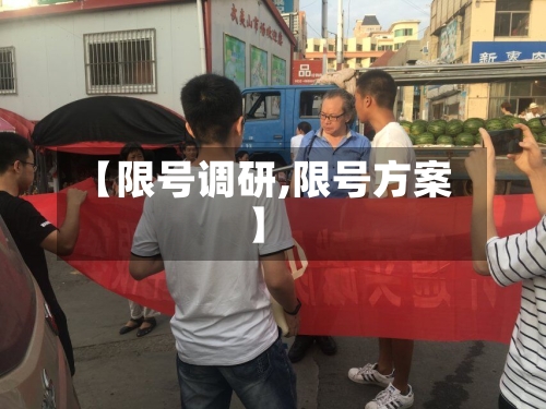 【限号调研,限号方案】-第2张图片