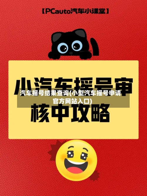 汽车摇号结果查询(小型汽车摇号申请官方网站入口)-第2张图片