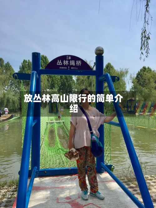 放丛林高山限行的简单介绍