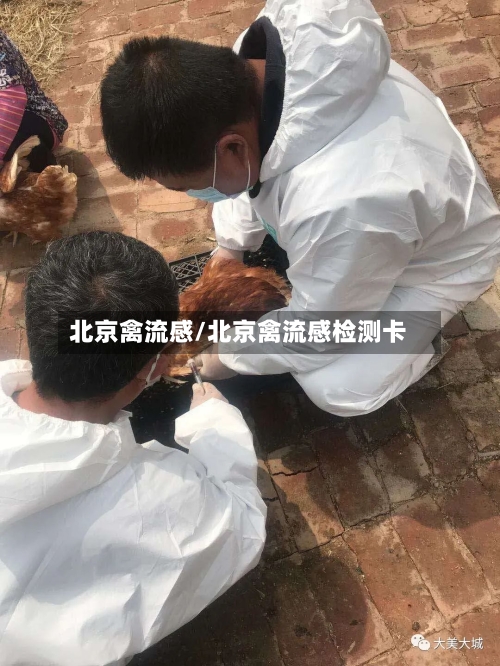 北京禽流感/北京禽流感检测卡
