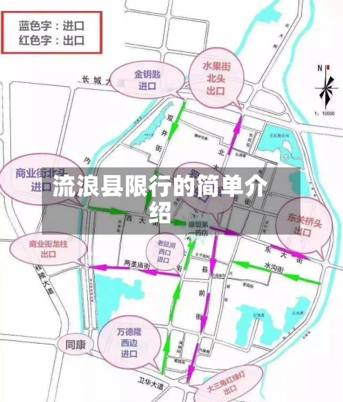 流浪县限行的简单介绍