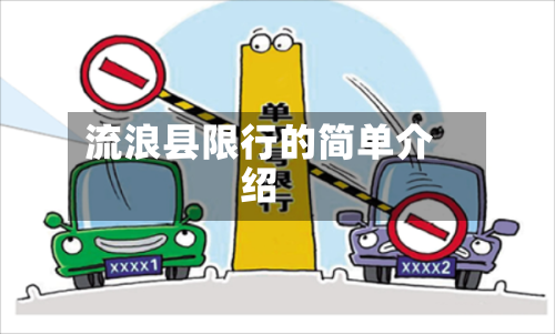 流浪县限行的简单介绍-第3张图片