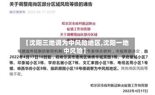 【沈阳三地调为中风险地区,沈阳一地中风险】-第2张图片