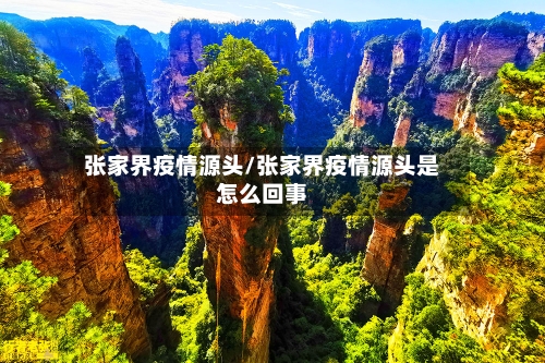张家界疫情源头/张家界疫情源头是怎么回事-第2张图片