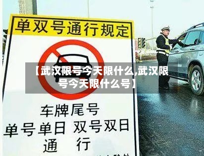 【武汉限号今天限什么,武汉限号今天限什么号】
