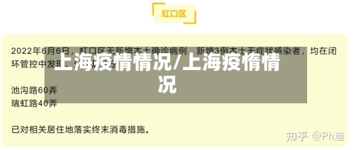 上海疫情情况/上海疫惰情况-第3张图片