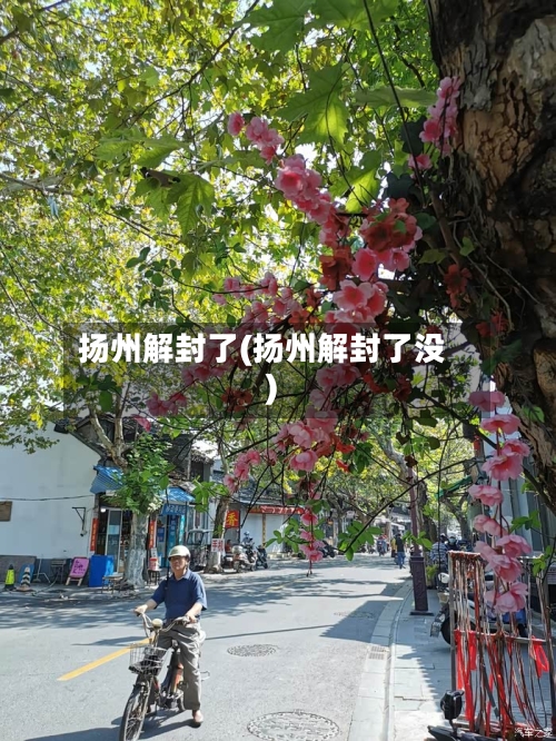扬州解封了(扬州解封了没)-第2张图片