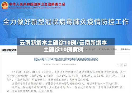 云南新增本土确诊10例/云南新增本土确诊10例病例