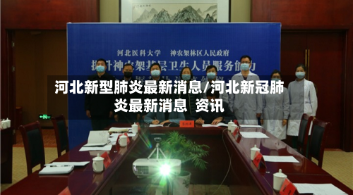 河北新型肺炎最新消息/河北新冠肺炎最新消息  资讯