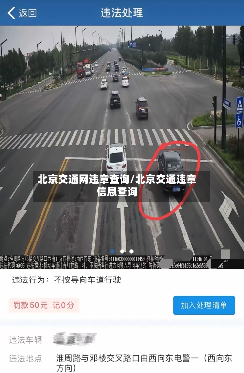 北京交通网违章查询/北京交通违章信息查询