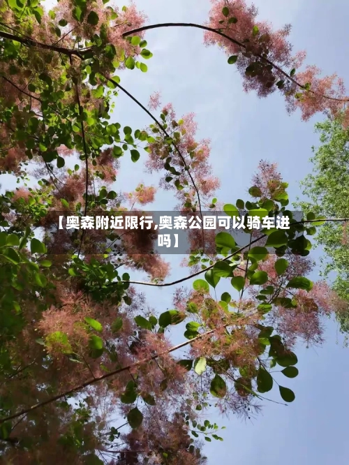 【奥森附近限行,奥森公园可以骑车进吗】-第2张图片