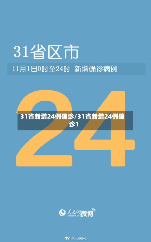 31省新增24例确诊/31省新增24例确诊1