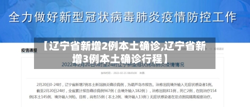 【辽宁省新增2例本土确诊,辽宁省新增3例本土确诊行程】-第3张图片