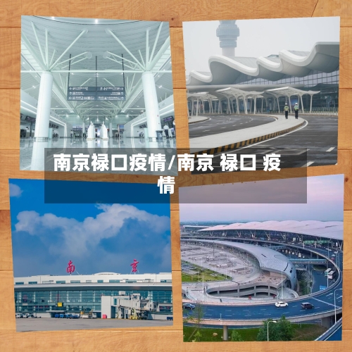 南京禄口疫情/南京 禄口 疫情