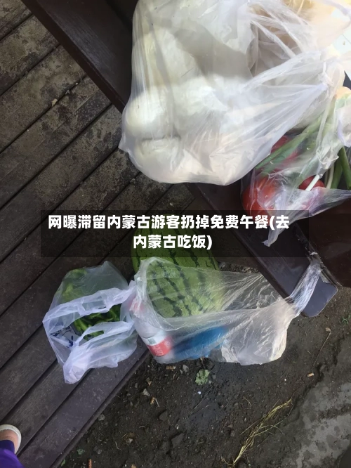 网曝滞留内蒙古游客扔掉免费午餐(去内蒙古吃饭)-第2张图片
