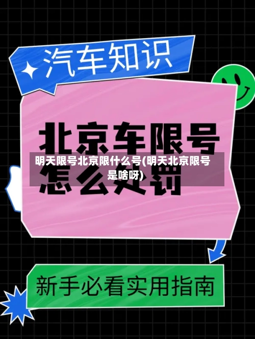 明天限号北京限什么号(明天北京限号是啥呀)