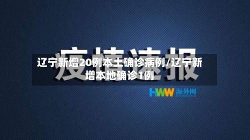 辽宁新增20例本土确诊病例/辽宁新增本地确诊1例