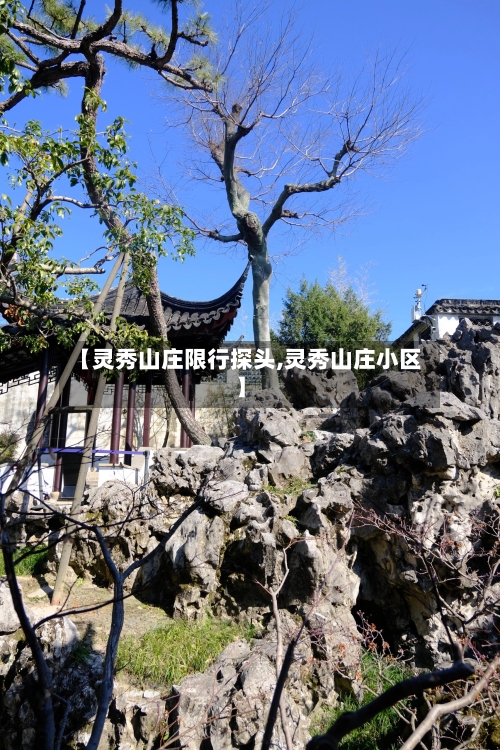 【灵秀山庄限行探头,灵秀山庄小区】-第3张图片