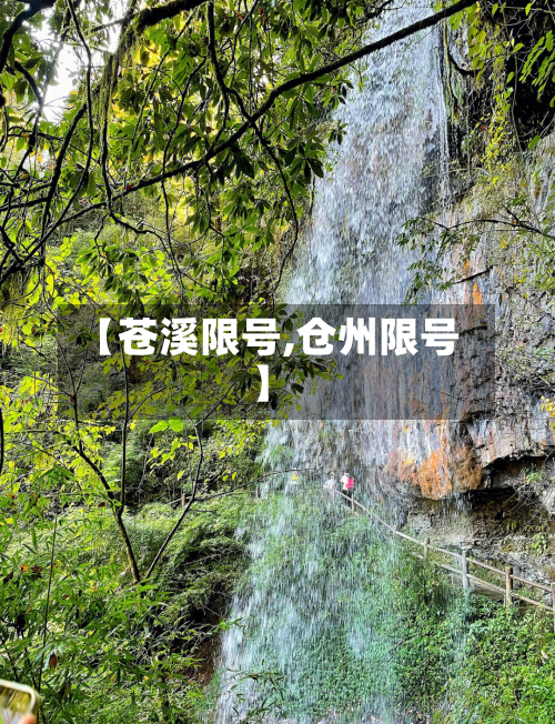 【苍溪限号,仓州限号】-第2张图片