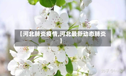 【河北肺炎疫情,河北最新动态肺炎】-第3张图片