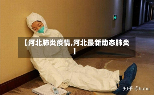 【河北肺炎疫情,河北最新动态肺炎】-第2张图片